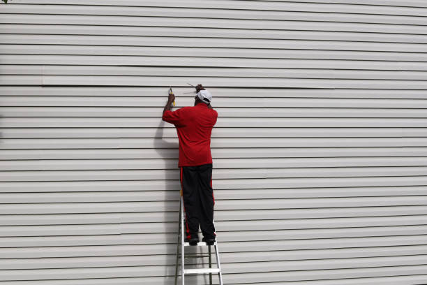 Best Vinyl Siding Installation  in Cedar Crest, MA