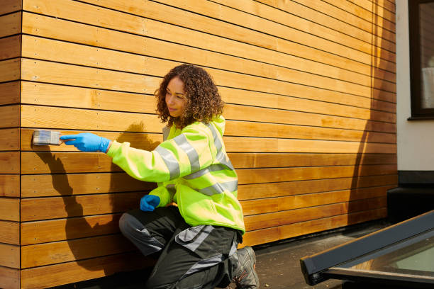 Best Siding Painting and Refinishing  in Cedar Crest, MA